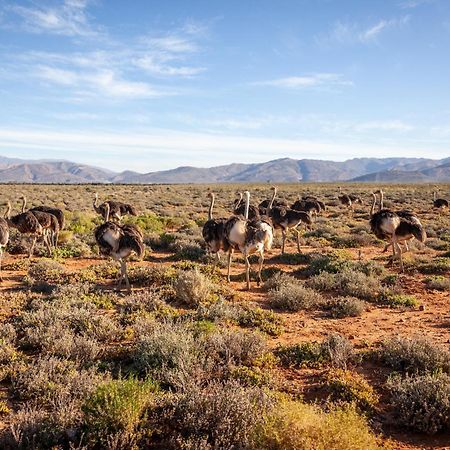 Inverdoorn Game Reserve Lodge Breede River Экстерьер фото