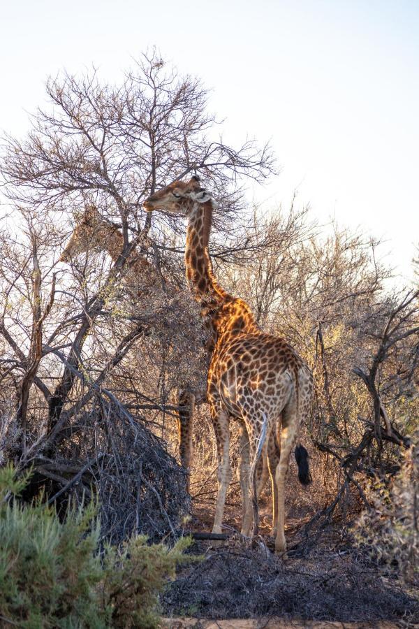 Inverdoorn Game Reserve Lodge Breede River Экстерьер фото