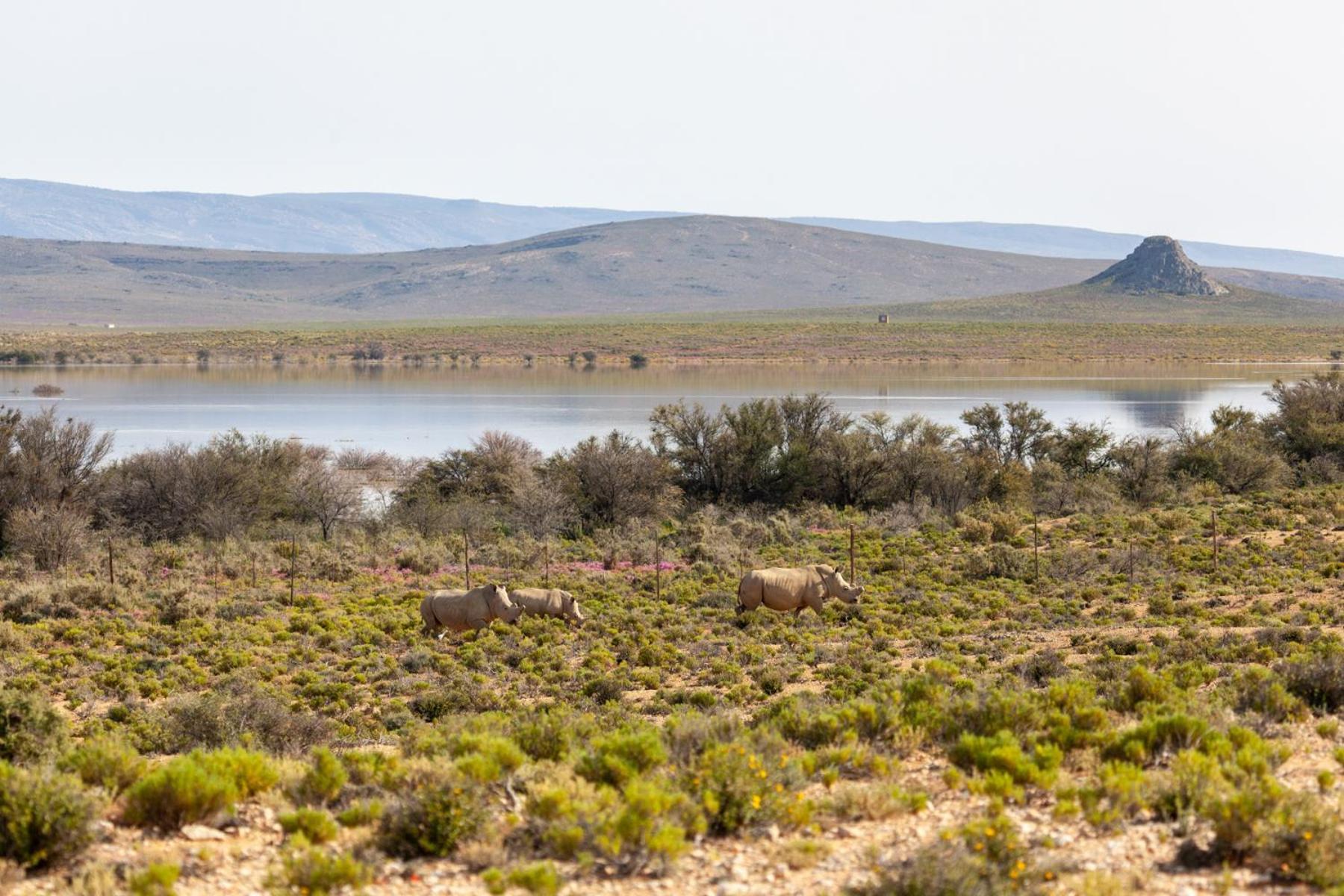 Inverdoorn Game Reserve Lodge Breede River Экстерьер фото